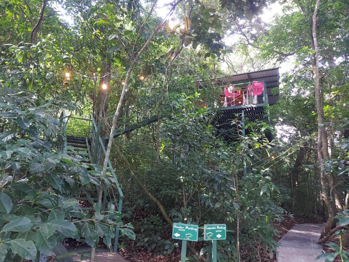 Jungle Living Tree Houses Monteverde Exterior foto