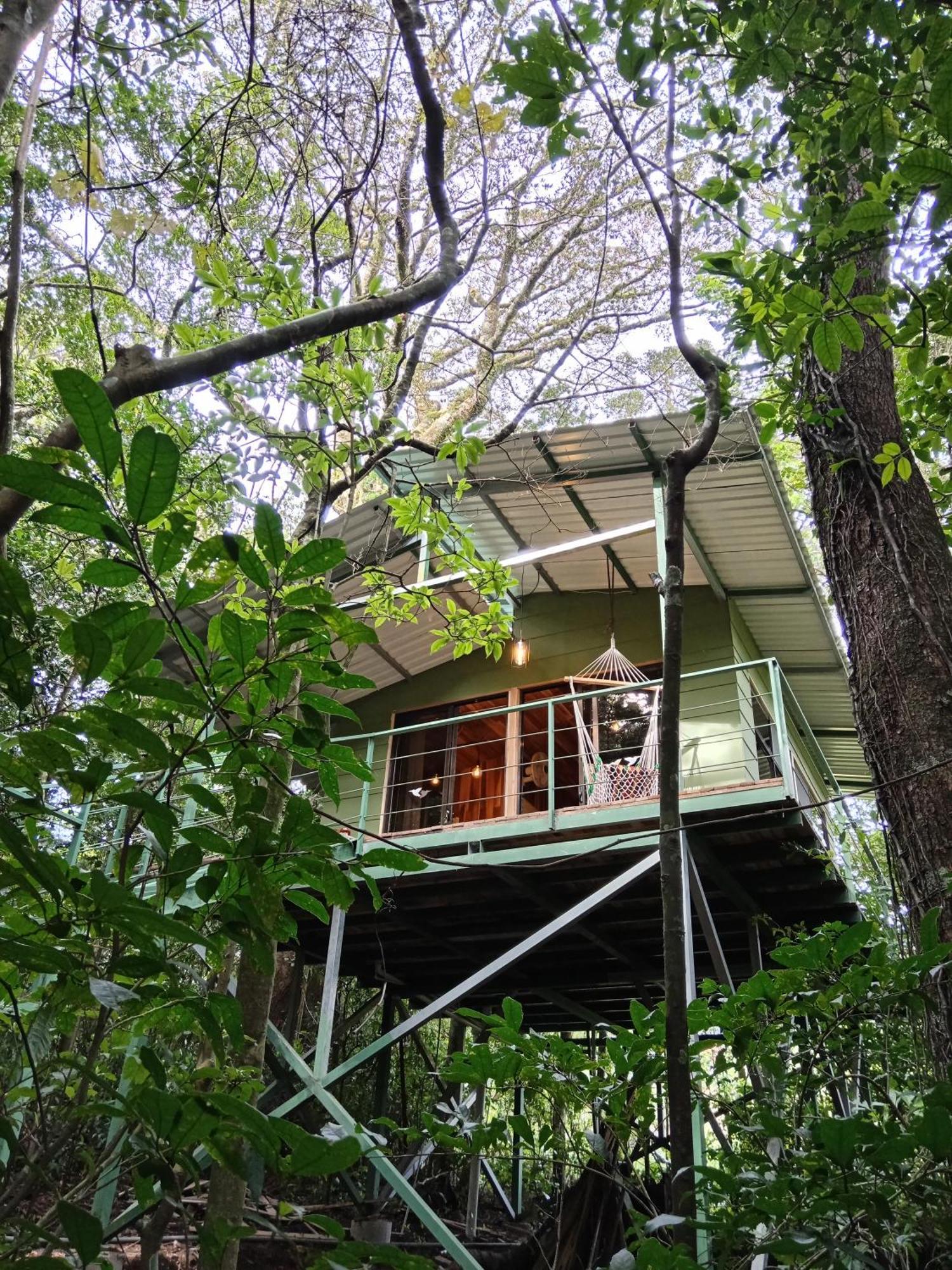 Jungle Living Tree Houses Monteverde Exterior foto