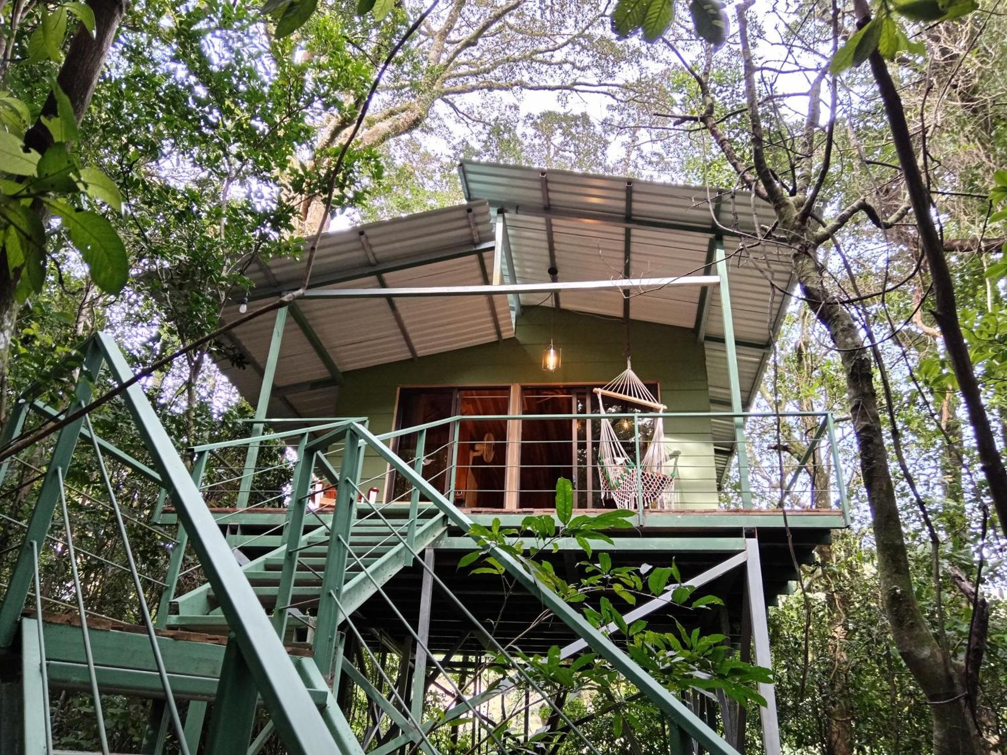 Jungle Living Tree Houses Monteverde Exterior foto